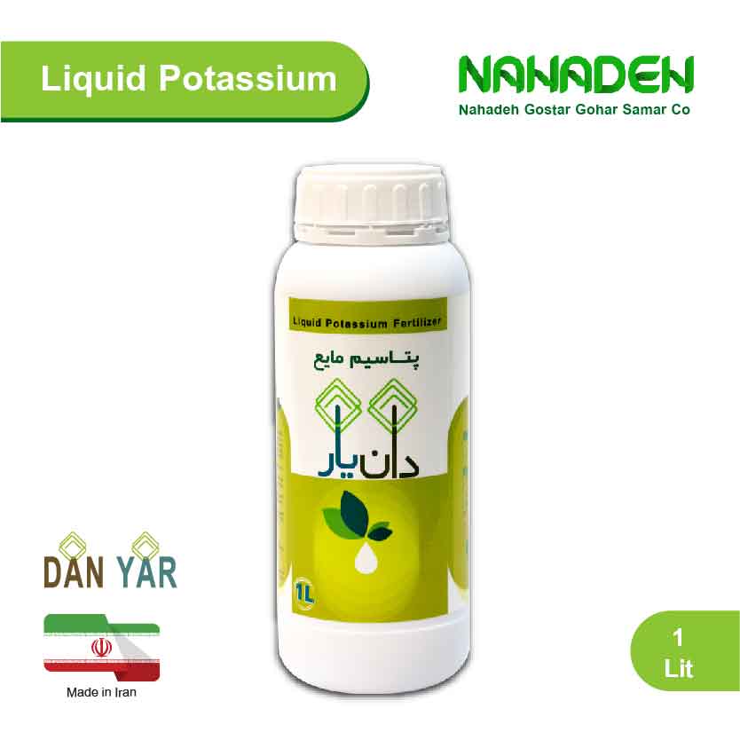 Liquid Potassium